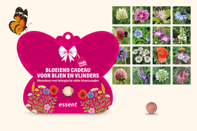 Blossombs bloembom - Welkomstcadeau